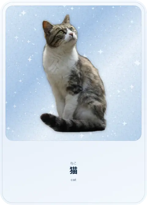 猫, ねこ, cat