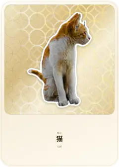 猫, ねこ, cat