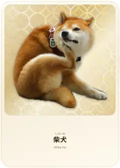 柴犬, しばいぬ, shiba inu